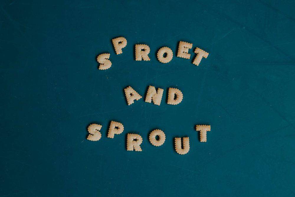 Sproet & Sprout winter ’18/’19 is waanzinnig!