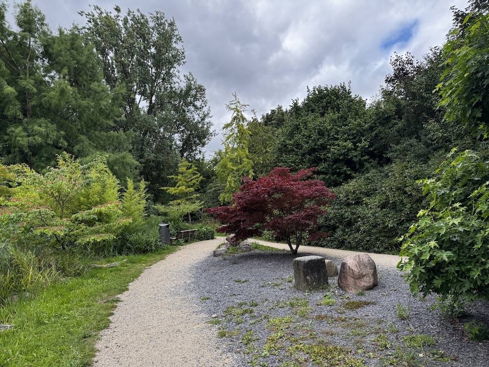 DIARY: weer aan het werk, Hoofddorp, Amstelpark & sushi eten