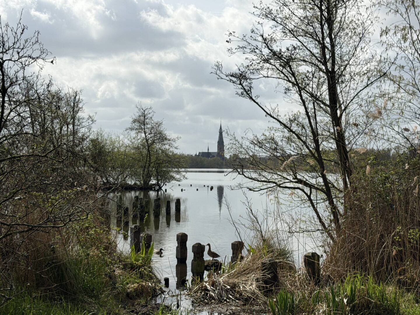 Waarom moet alles tegenwoordig zinvol zijn?